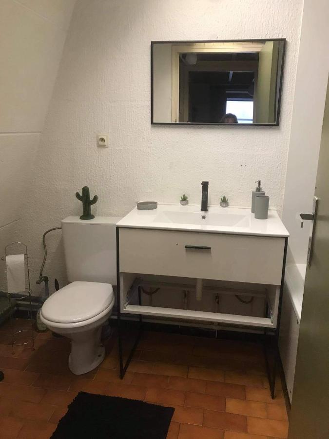 Loft Renove Au Calme A La Campagne Pour Famille Villa Hastiere-par-dela Eksteriør bilde